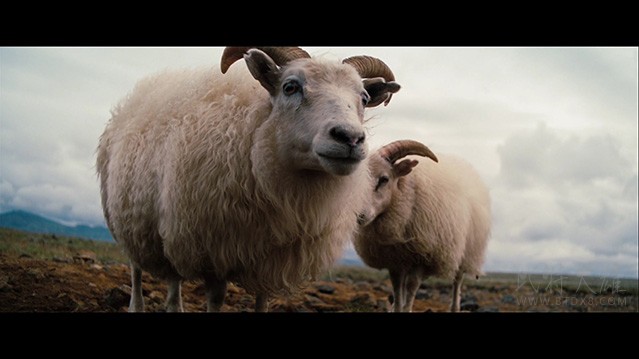 白日梦想家 7p 1080p Mp4 英语 中字 豆瓣8 5分 2 75gb 5 85gb 13 高清bt种子下载 Bt电影天堂吧 比特大雄