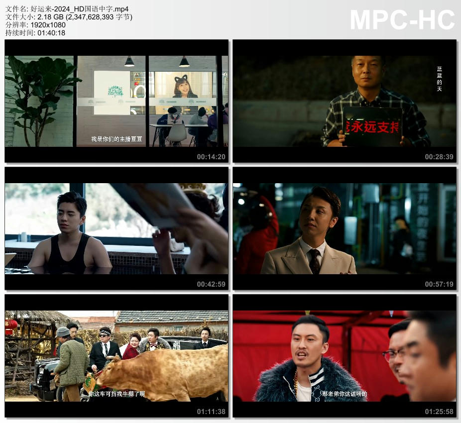 2024年国产喜剧片《好运来》HD国语中字